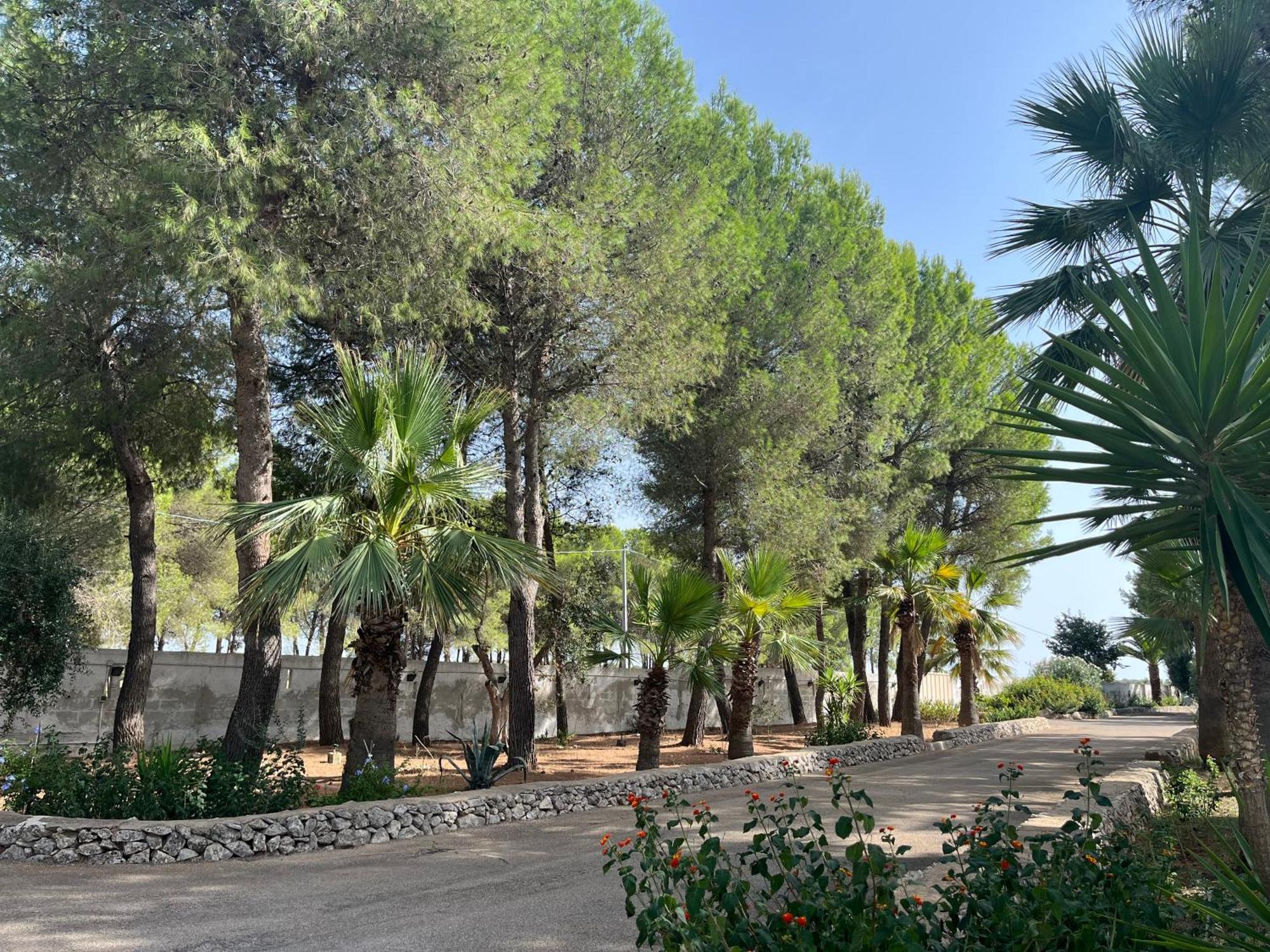 Casette Masseria La Camardia Sava Exterior photo