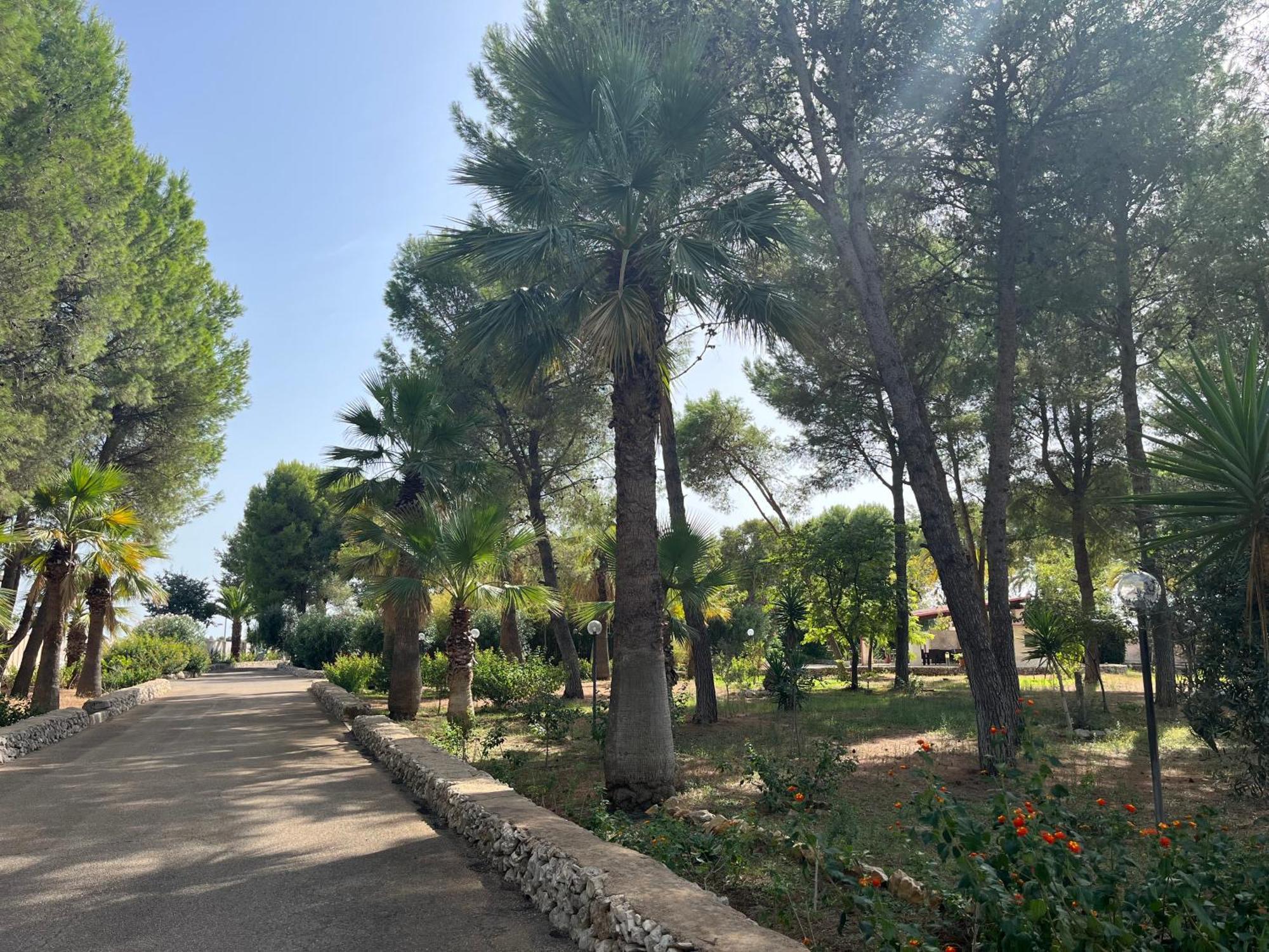 Casette Masseria La Camardia Sava Exterior photo