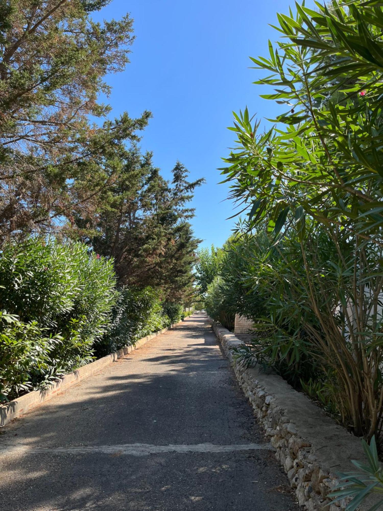 Casette Masseria La Camardia Sava Exterior photo